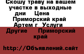 Скошу траву на вашем участке(в выходные дни) › Цена ­ 400 - Приморский край, Артем г. Услуги » Другие   . Приморский край